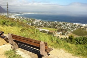Da Città del Capo: Tour di un giorno a Hermanus per l'osservazione delle balene