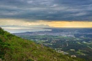 Da Città del Capo: Tour di un giorno a Hermanus per l'osservazione delle balene