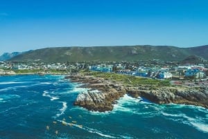 Da Città del Capo: Tour di un giorno a Hermanus per l'osservazione delle balene