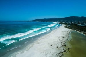 Da Città del Capo: Tour di un giorno a Hermanus per l'osservazione delle balene