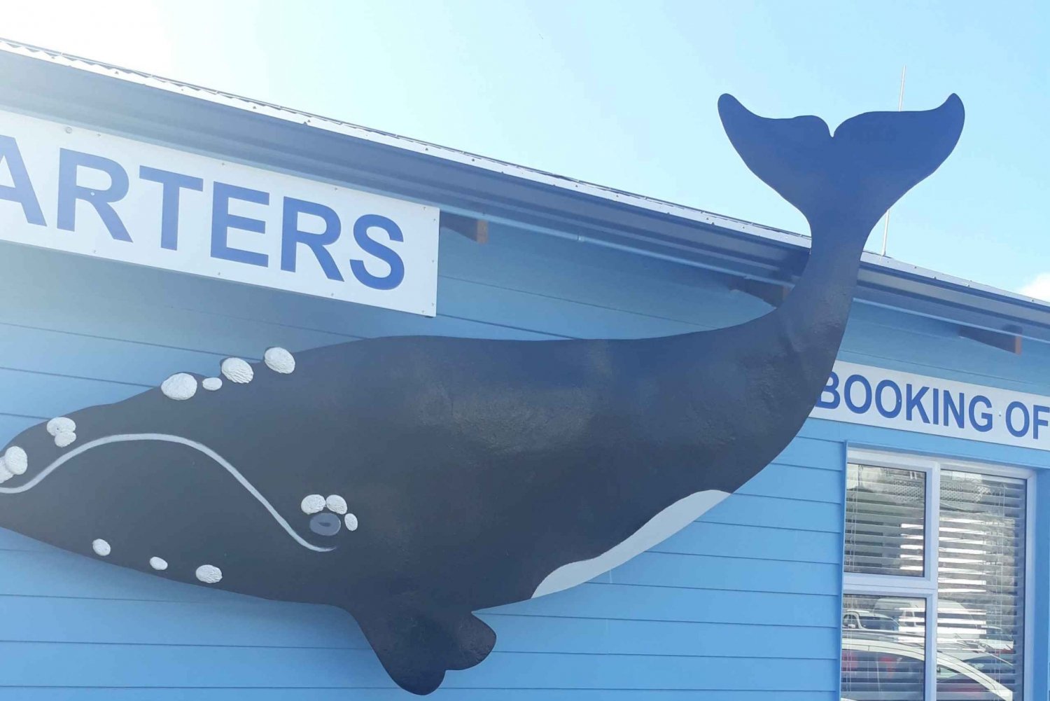 Kapkaupungista: Hermanus-valaiden katselukierros siirrolla