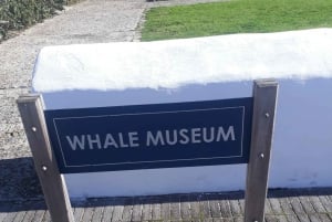 From Cape Town: Hermanus Whale Watching Tour with Transfer