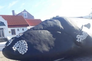 Kapkaupungista: Hermanus-valaiden katselukierros siirrolla