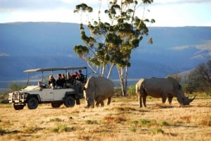 From Cape Town: Inverdoorn Game Reserve Full-Day Safari