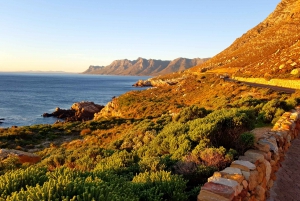 Fra Cape Town eller Stellenbosch: Dagstur med naturskjønn kystlinje
