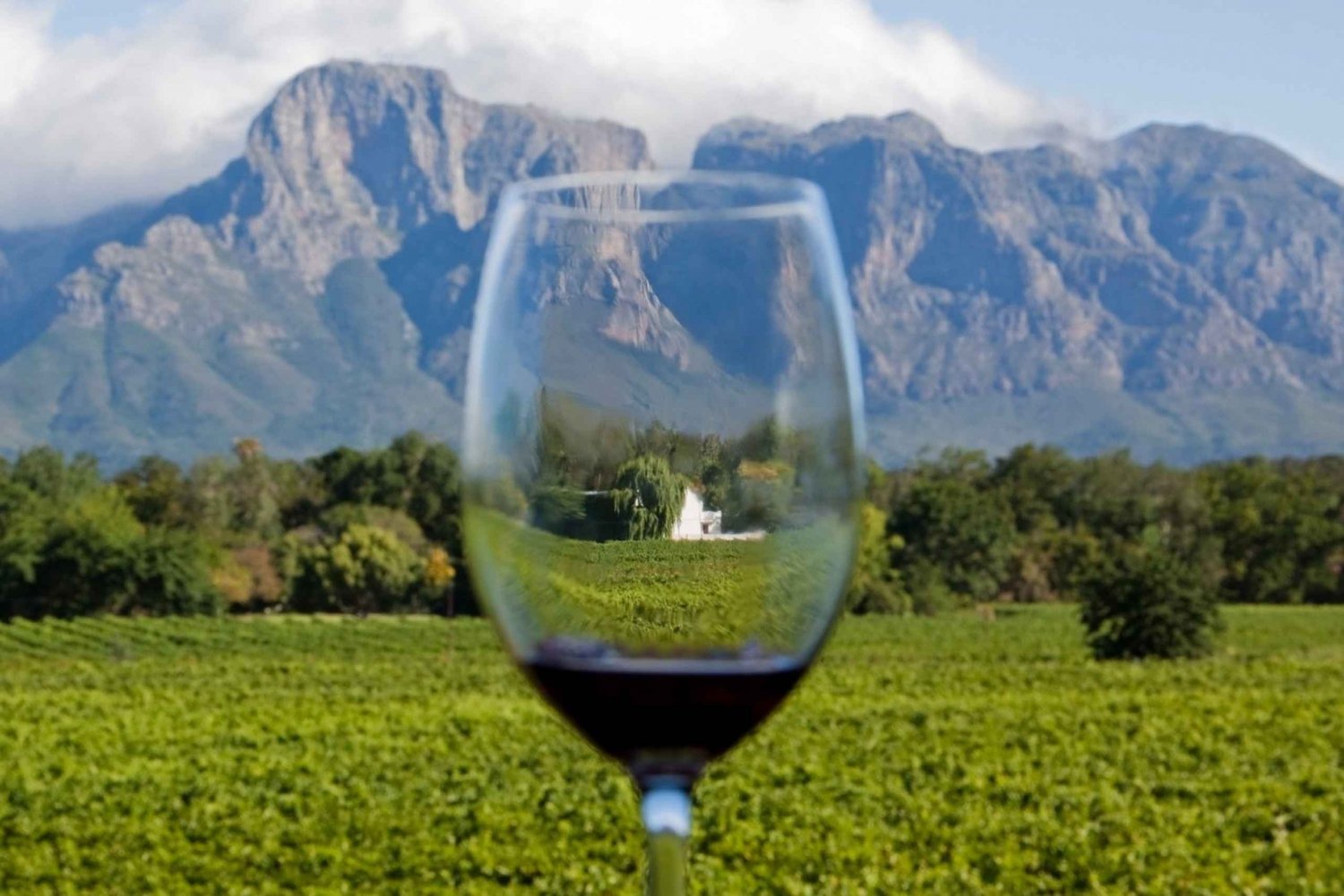 Van Kaapstad: privétour Kaapse wijnlanden