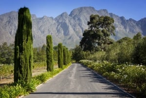 From Cape Town: Private Cape Winelands Tour