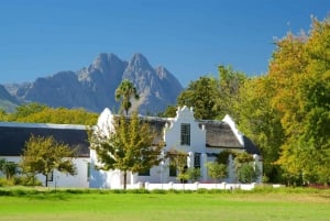 Ab Kapstadt: Private Cape Winelands Tour