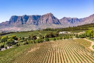 From Cape Town: Private Guided Winelands Tour with kup