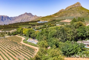 Cape Town: 3 Regions Winelands Tour incl. 3 Estates 15 Wines