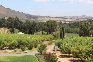From Cape Town: Private Guided Winelands Tour with Pickup