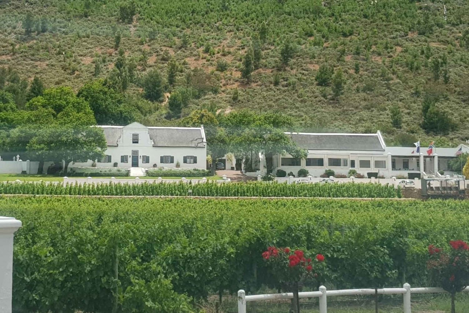 From Cape Town: Private Half Day 3 Estates wine tour