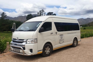From Cape Town: Private Half Day 3 Estates wine tour