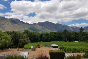From Cape Town: Private Half Day 3 Estates wine tour
