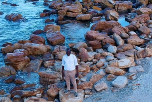 Fra Cape Town: Privat tur til Boulders Beach og Cape Point