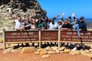 Fra Cape Town: Privat tur til Boulders Beach og Cape Point