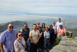 Fra Cape Town: Privat tur til Boulders Beach og Cape Point