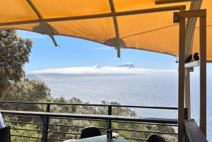 Fra Cape Town: Privat tur til Boulders Beach og Cape Point