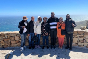 Fra Cape Town: Privat tur til Boulders Beach og Cape Point