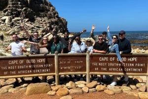 Fra Cape Town: Privat tur til Boulders Beach og Cape Point