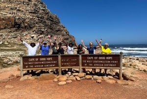 Fra Cape Town: Privat tur til Boulders Beach og Cape Point