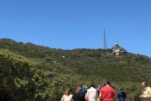 Fra Cape Town: Privat tur til Boulders Beach og Cape Point