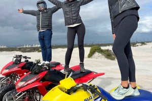 Fra Cape Town: Quad Bike Sand Dunes, transport inkluderet