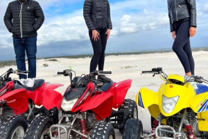 Fra Cape Town: Quad Bike Sand Dunes, transport inkluderet