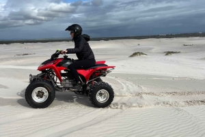 Fra Cape Town: Quad Bike Sand Dunes, transport inkluderet