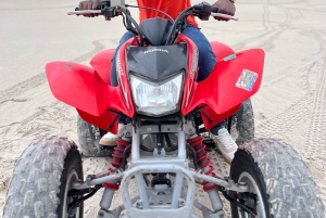 Fra Cape Town: Quad Bike Sand Dunes, transport inkluderet