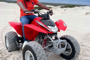Fra Cape Town: Quad Bike Sand Dunes, transport inkluderet