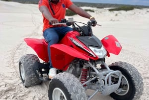 Fra Cape Town: Quad Bike Sand Dunes, transport inkluderet