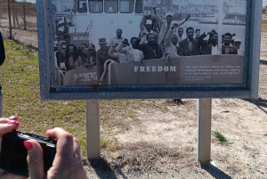 Fra Cape Town: Heldagstur til Robben Island og Table Mountain