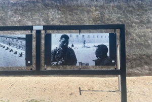 Fra Cape Town: Heldagstur til Robben Island og Table Mountain