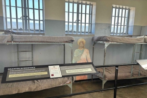 Fra Cape Town: Heldagstur til Robben Island og Table Mountain