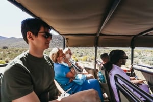 Z Kapsztadu: Wycieczka w obie strony do Aquili z przejażdżką do gier