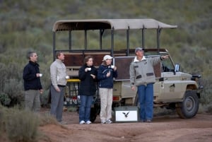 From Cape Town: Round-Trip to Aquila with Game Drive