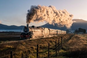From Cape Town: Steam Train Ticket to Elgin Railway Market
