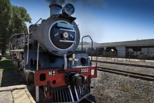 From Cape Town: Steam Train Ticket to Elgin Railway Market