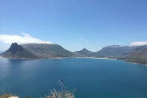 From Cape Town/Stellenbosch: Cape Peninsula Private Day Trip