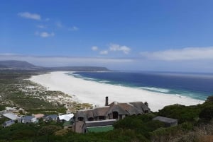 Kapkaupungista/Stellenboschista: Bellenchbosch: Cape Peninsula Yksityinen päiväretki: Cape Peninsula