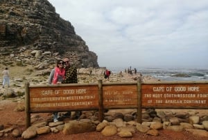 Desde Ciudad del Cabo/Stellenbosch: Excursión Privada de un Día a la Península del Cabo
