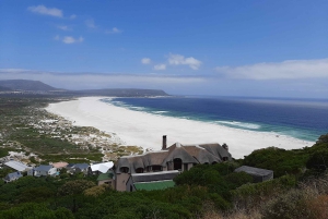 From Cape Town/Stellenbosch: Cape Peninsula Private Day Trip