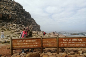 From Cape Town/Stellenbosch: Cape Peninsula Private Day Trip