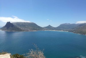 From Cape Town/Stellenbosch: Cape Peninsula Private Day Trip