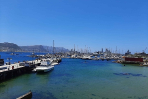 From Cape Town/Stellenbosch: Cape Peninsula Private Day Trip