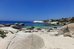 From Cape Town/Stellenbosch: Cape Peninsula Private Day Trip