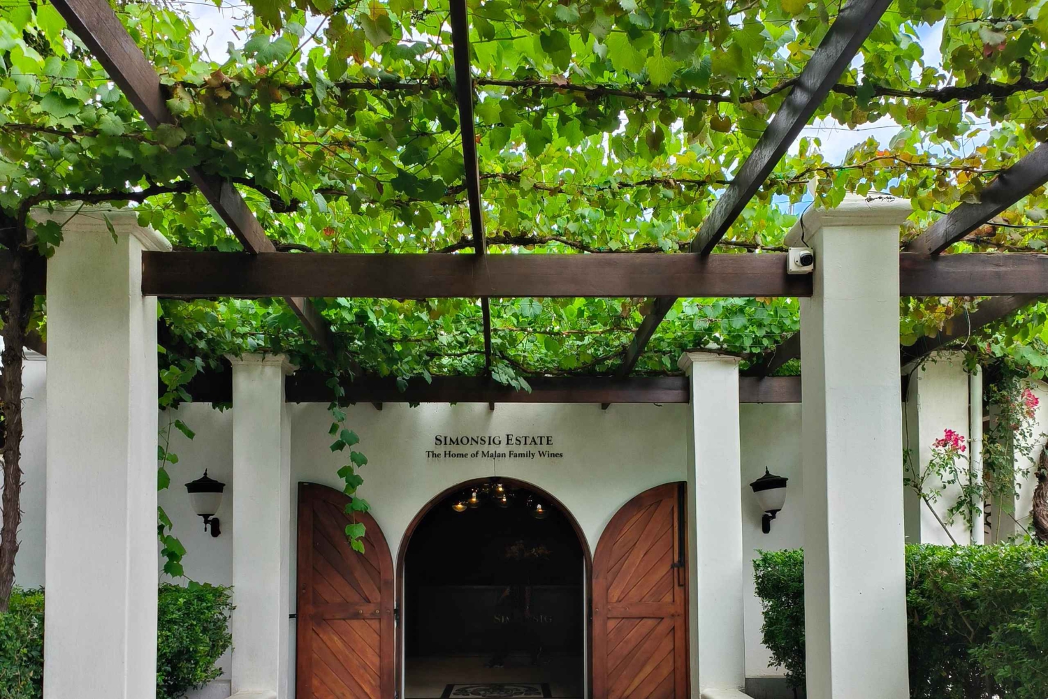 ケープタウン発：ステレンボッシュ 4 エステート 1 日ワイン ツアー