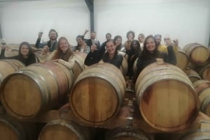 From Cape Town: Stellenbosch Four Estate Full-Day Wine Tour