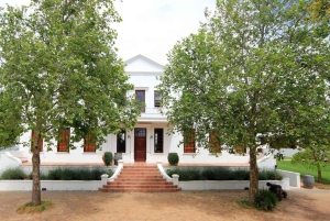 ケープタウン発：ステレンボッシュ 4 エステート 1 日ワイン ツアー